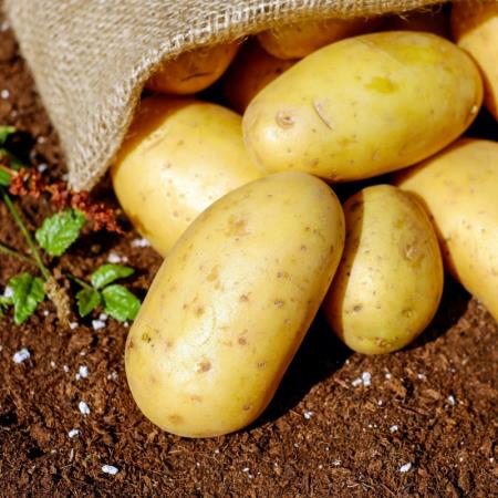 一家四口進地下室接連喪命！8歲女童成孤兒，兇手竟是馬鈴薯？