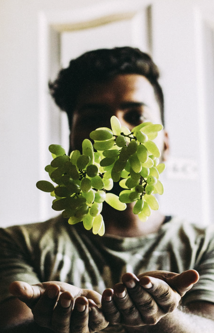 截圖 2025-12-31 上午10.09.28