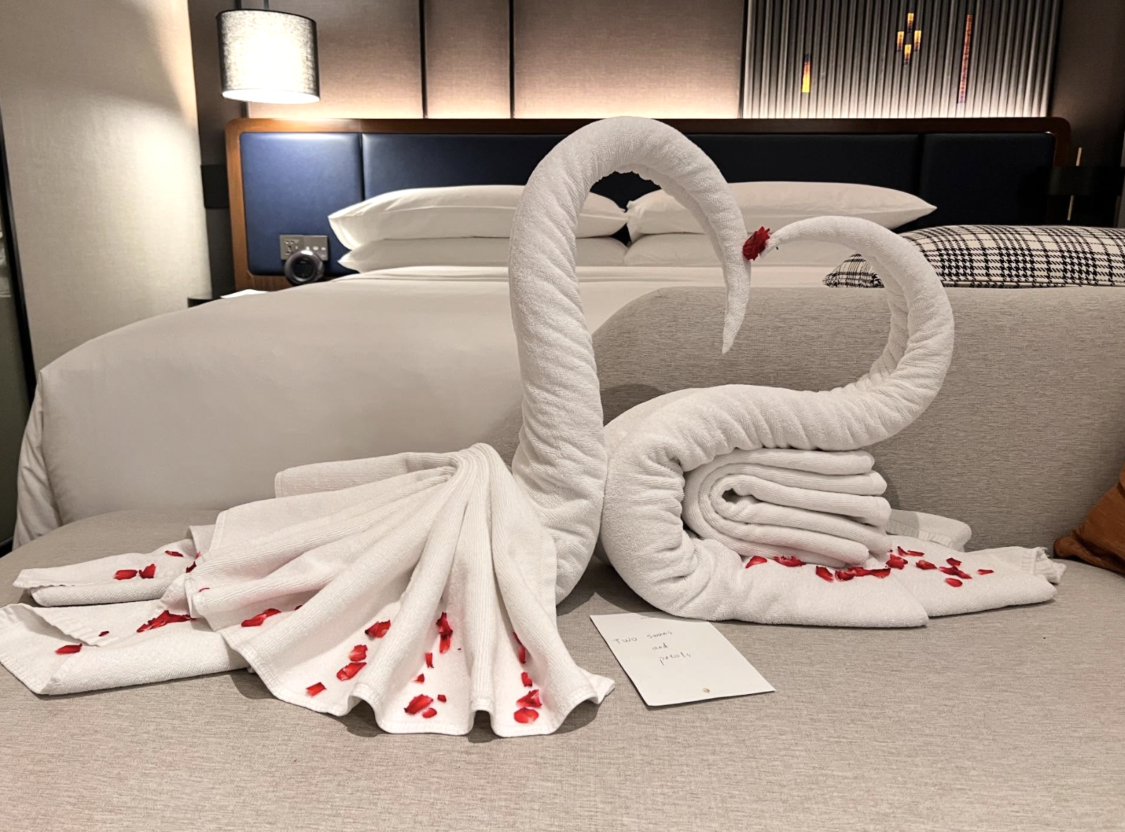 截圖 2026-01-04 下午3.36.41