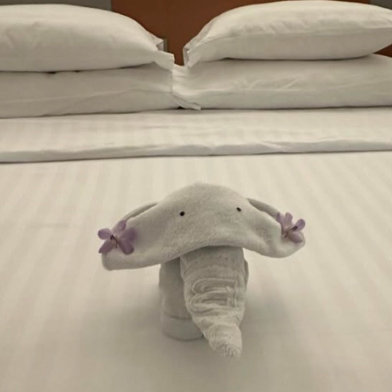 泰國飯店「小費都市傳說」是真的？Threads爆紅實測：20 塊大象、40 塊孔雀、300 塊變動物園