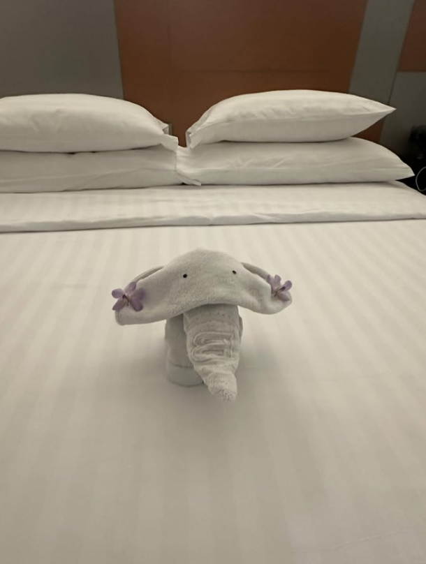 截圖 2026-01-04 下午3.02.36