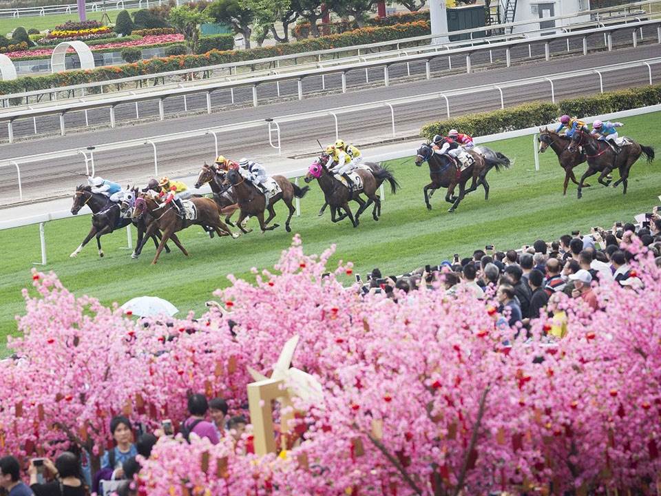 大年初三賽馬活動，觀眾齊聚為新年增添福運和激情