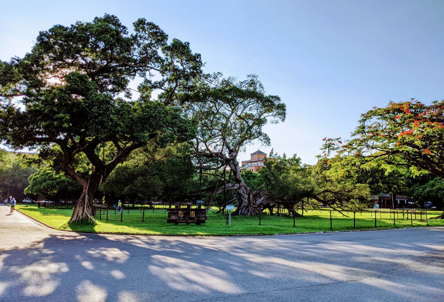 469545579_9311190065581794_4234396080654122699_n