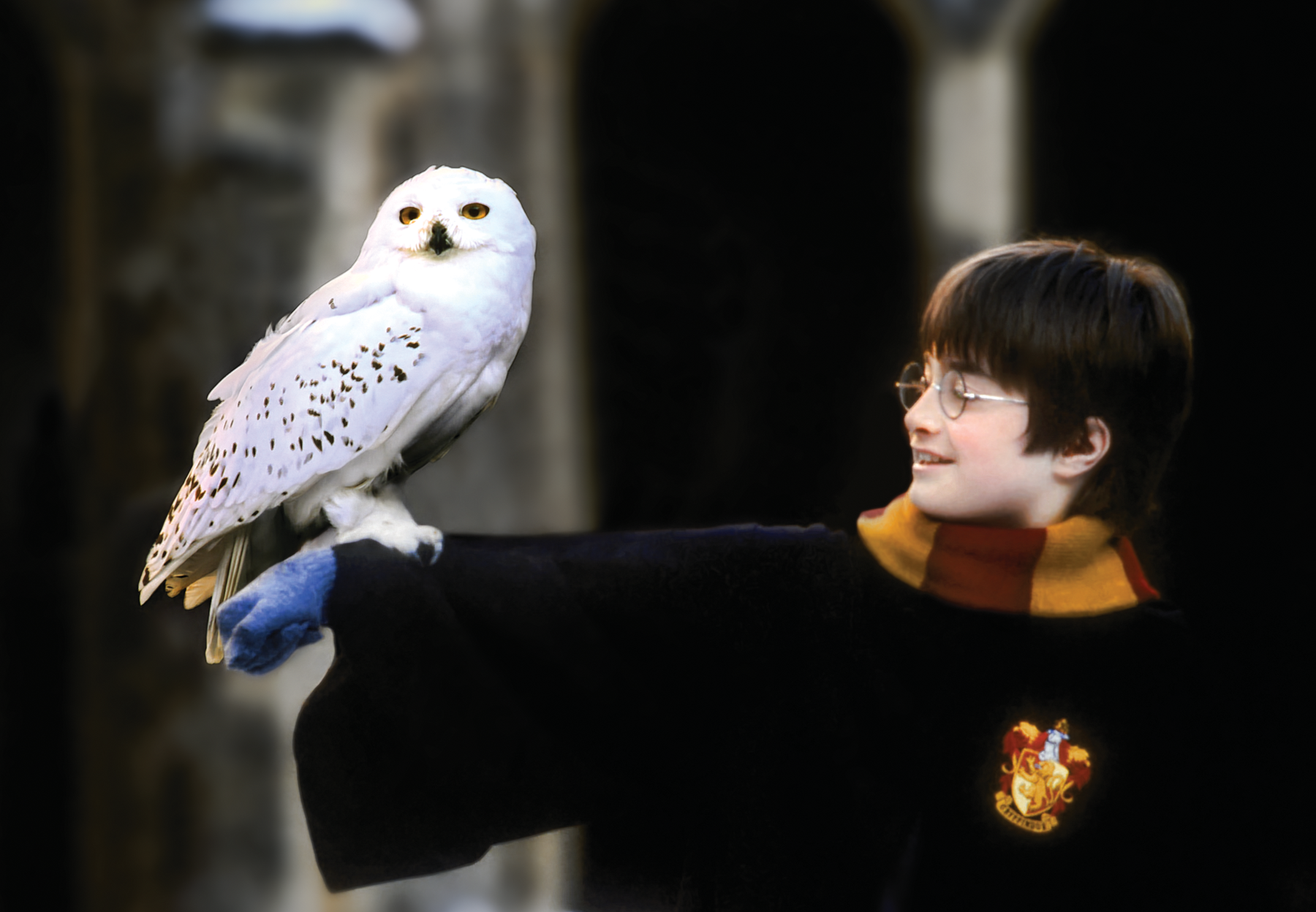 harry-potter_10_1800x1248