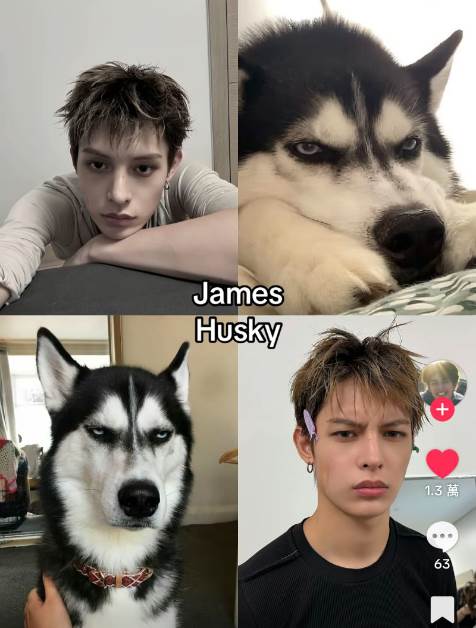 FotoJet - 2026-01-08T092322.136