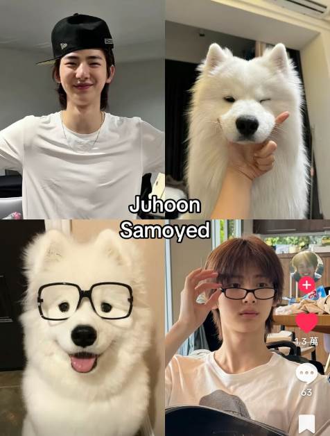 FotoJet - 2026-01-08T092302.982