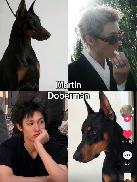 FotoJet - 2026-01-08T092241.924