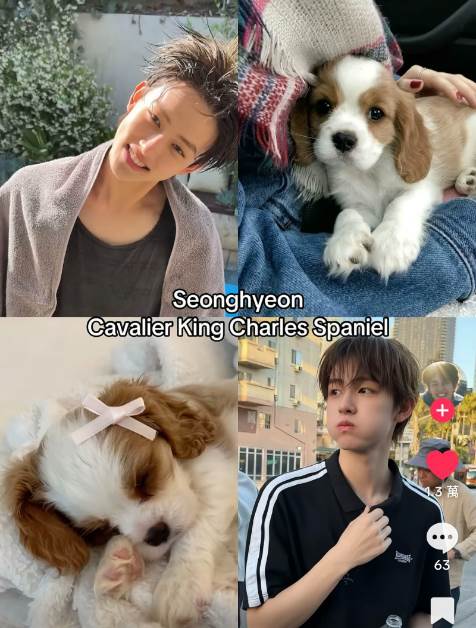 FotoJet - 2026-01-08T092222.170