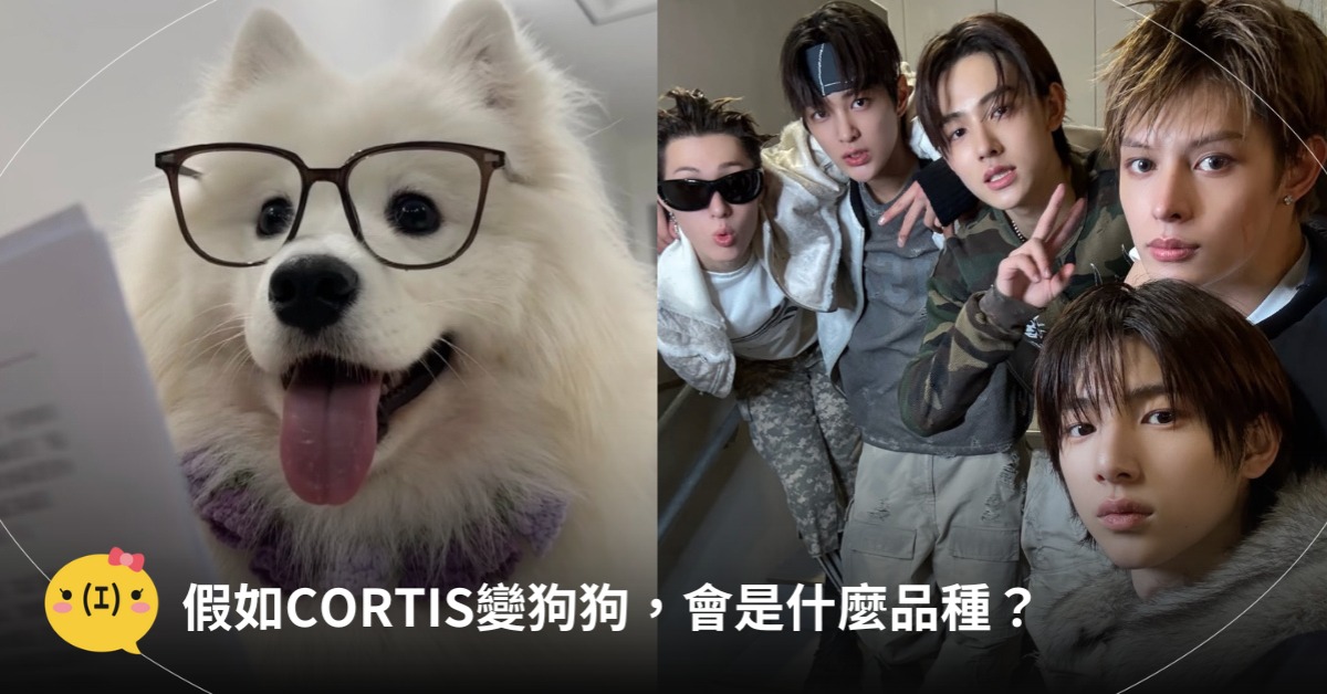 假如CORTIS變狗狗會是什麼品種，圖片來源：TIKTOK@thefuckinghellyea