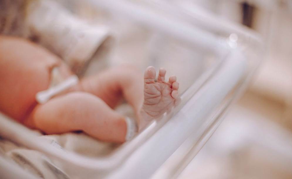 造咖 文章首圖模板 的複本-3