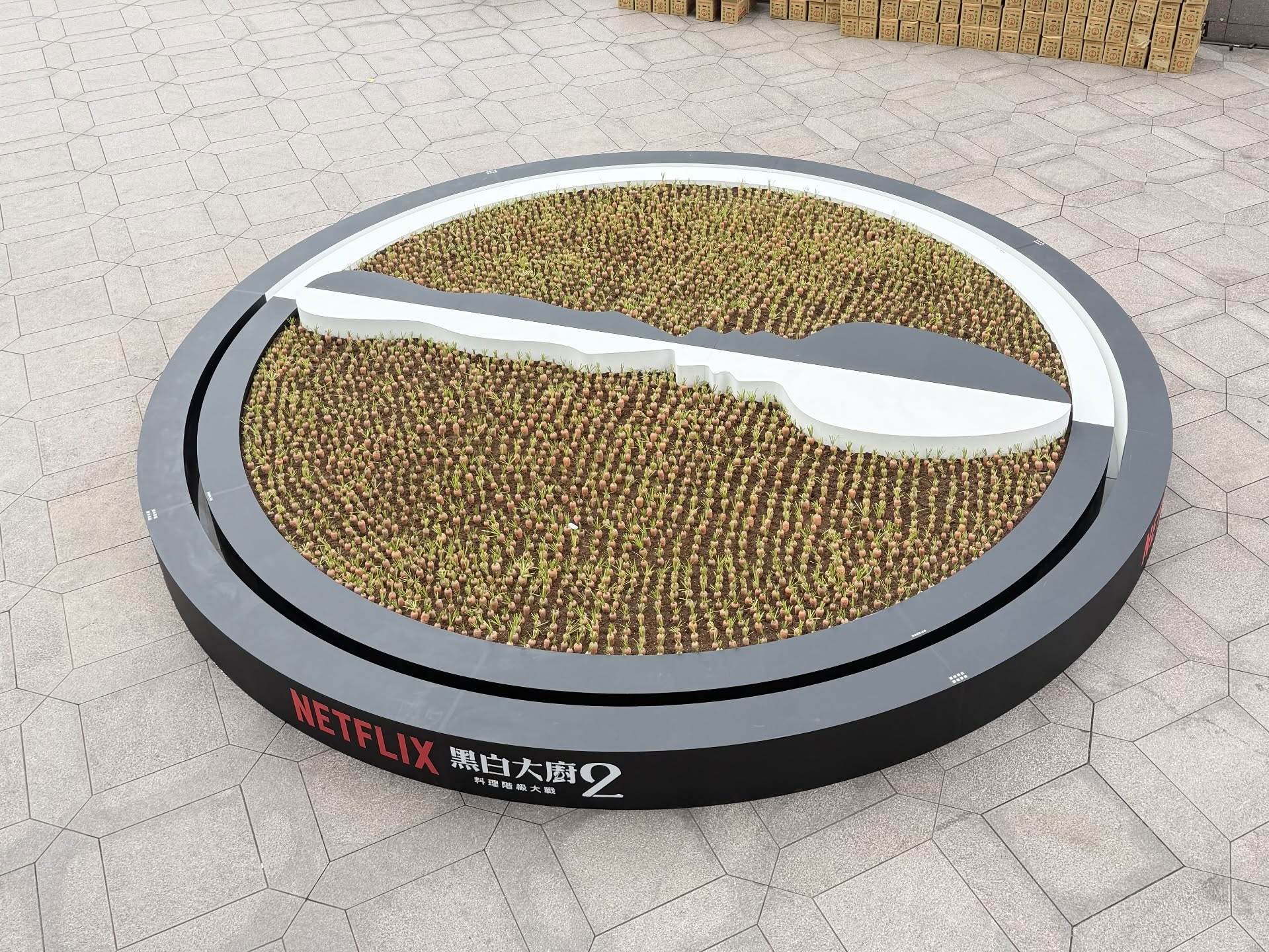 611246838_17959577661106580_9142756604748367658_n