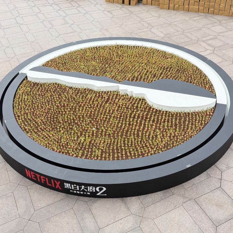 101水舞廣場種滿神秘紅蘿蔔？民眾路過傻眼：太鬧了吧