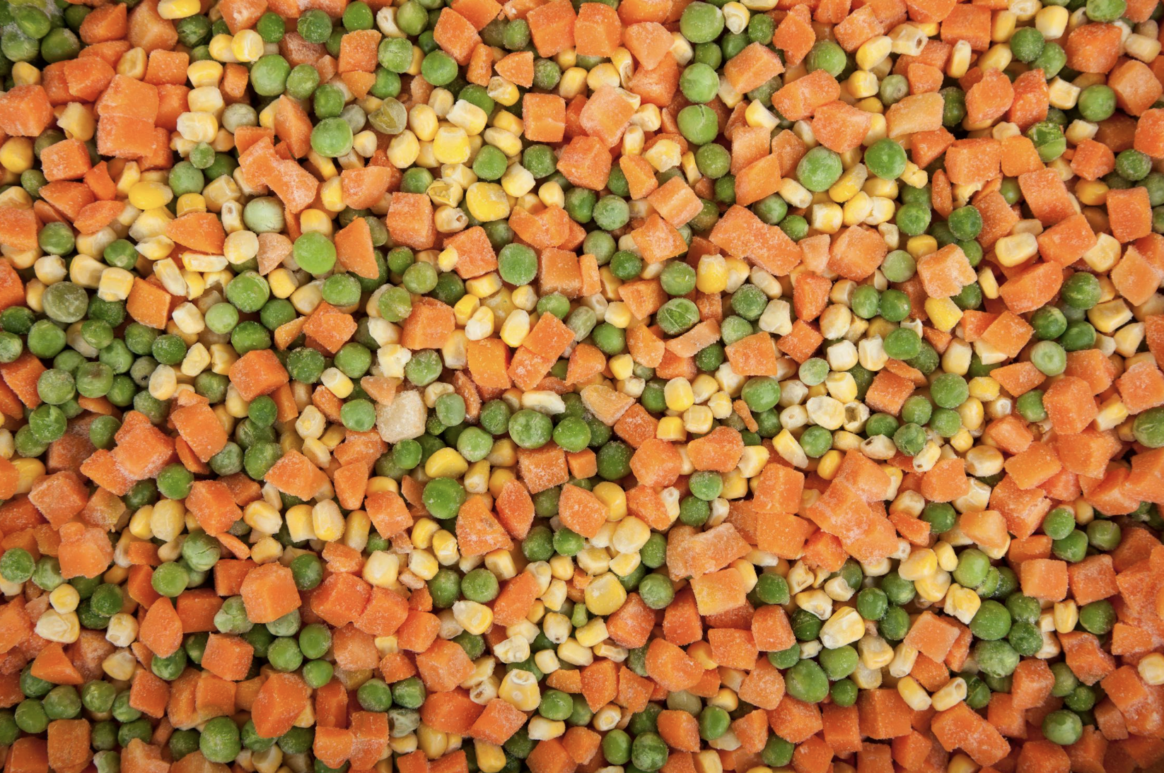 截圖 2026-01-14 下午5.49.17