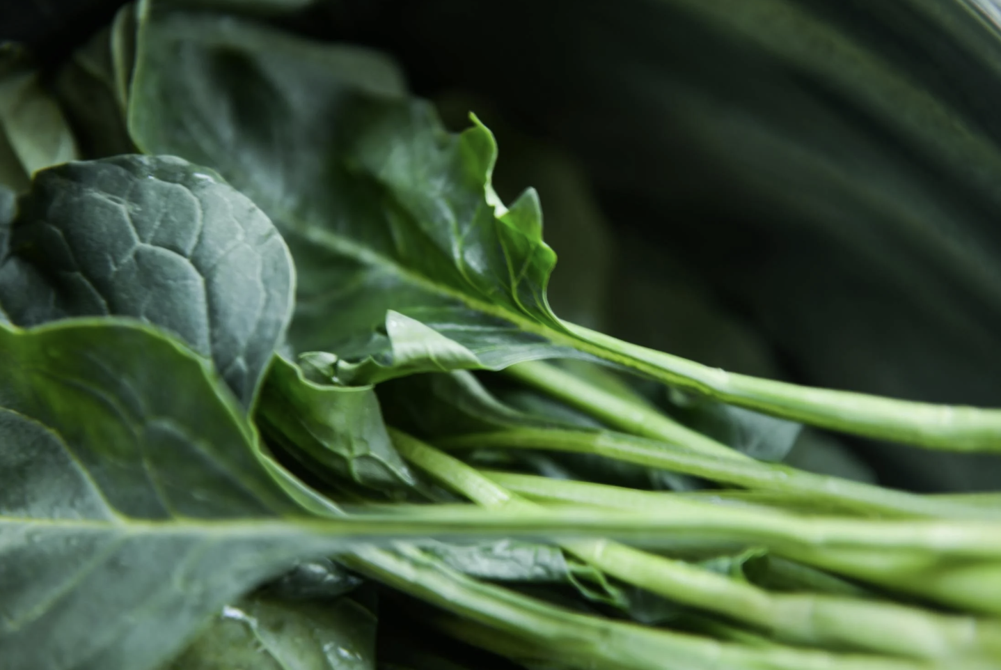 截圖 2026-01-15 下午3.23.53