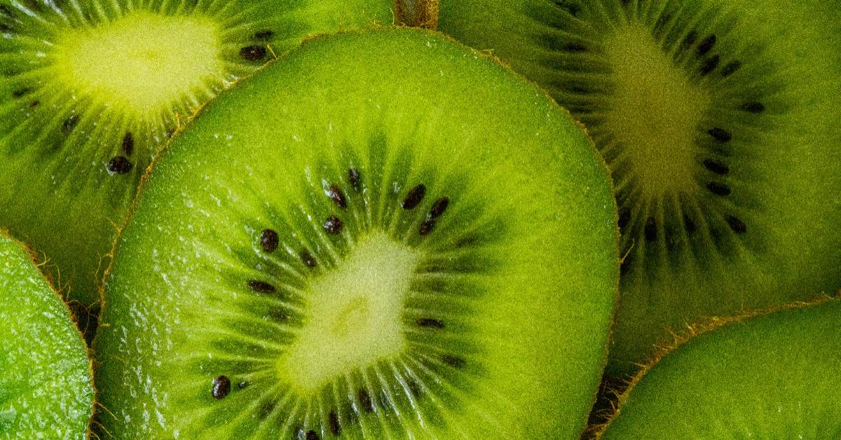 FotoJet - 2026-01-16T095411.657