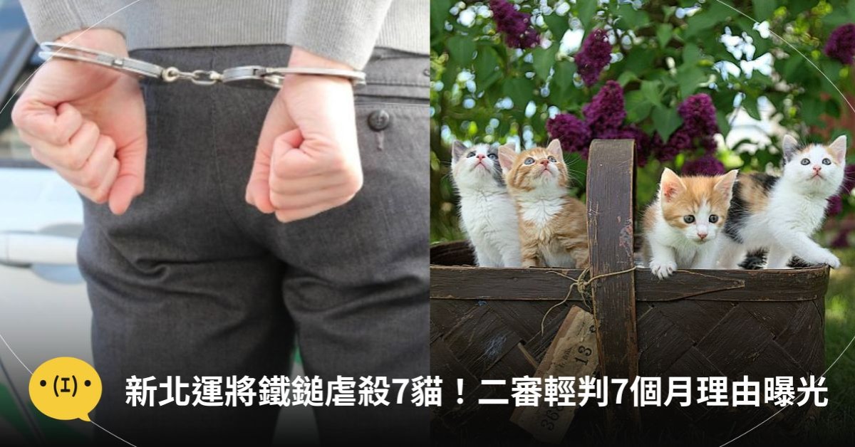 圖片來源：unsplash／pixabay