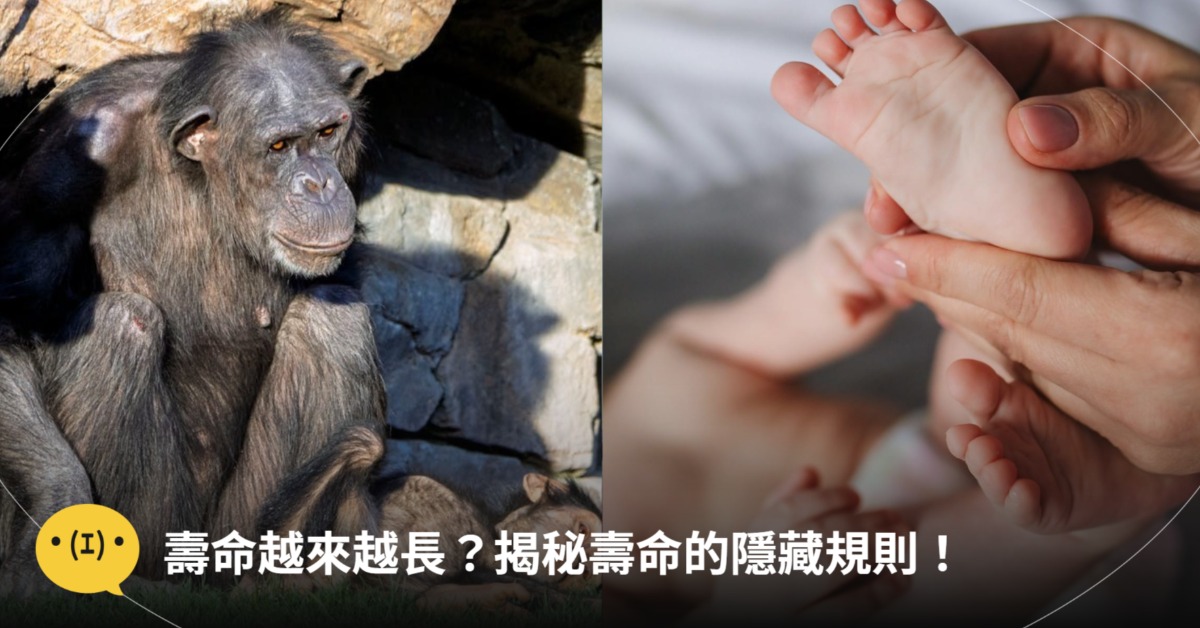 圖片來源：pexels（示意圖）