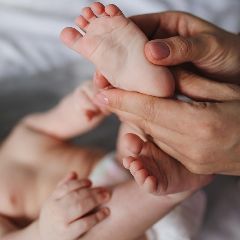 生得多，老得快？動物實驗發現：不生小孩，壽命真的會變長