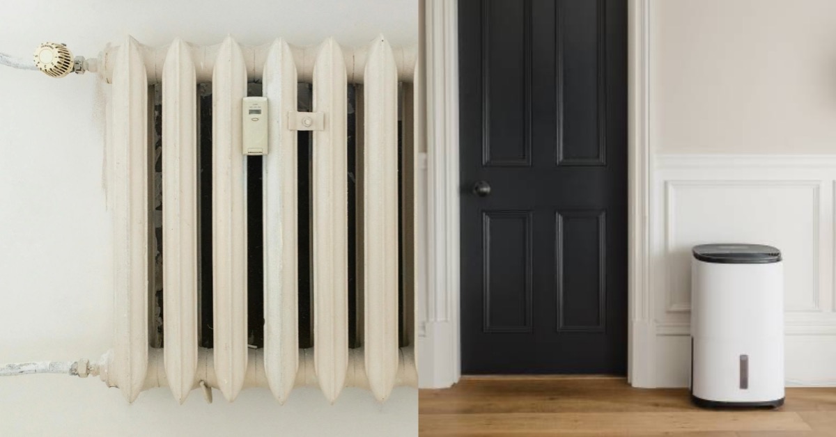 圖片來源：pexels（示意圖）