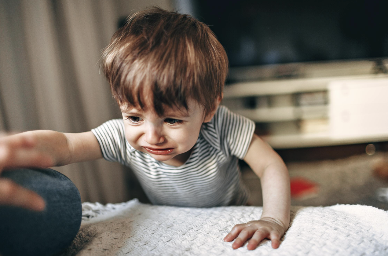 截圖 2026-01-19 下午3.26.00