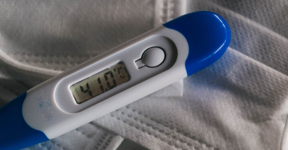 FotoJet - 2025-01-15T091113.806