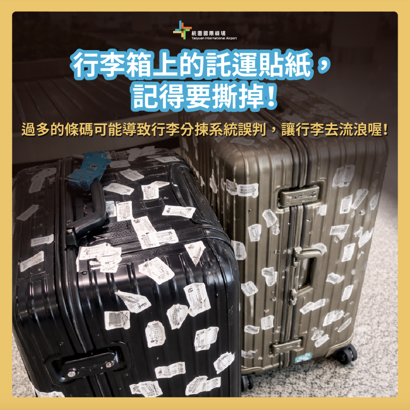 截圖 2026-01-24 下午3.35.57