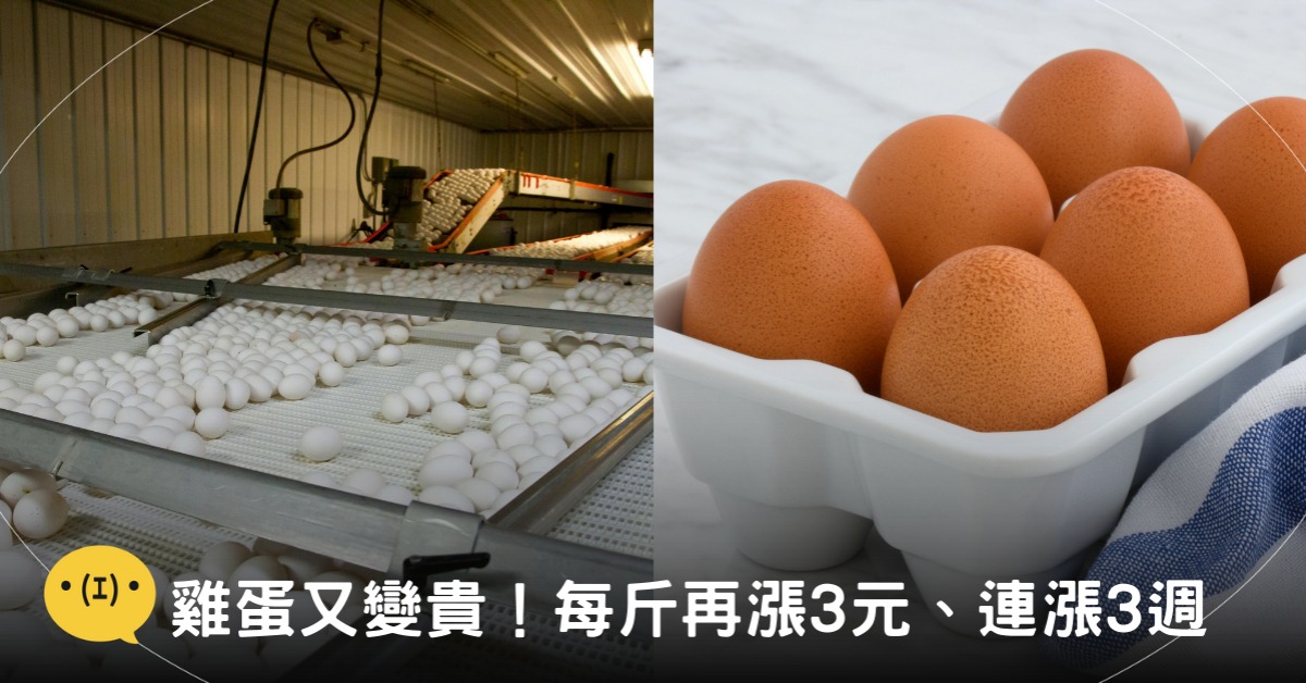 封面圖片來源:pexels(示意圖)