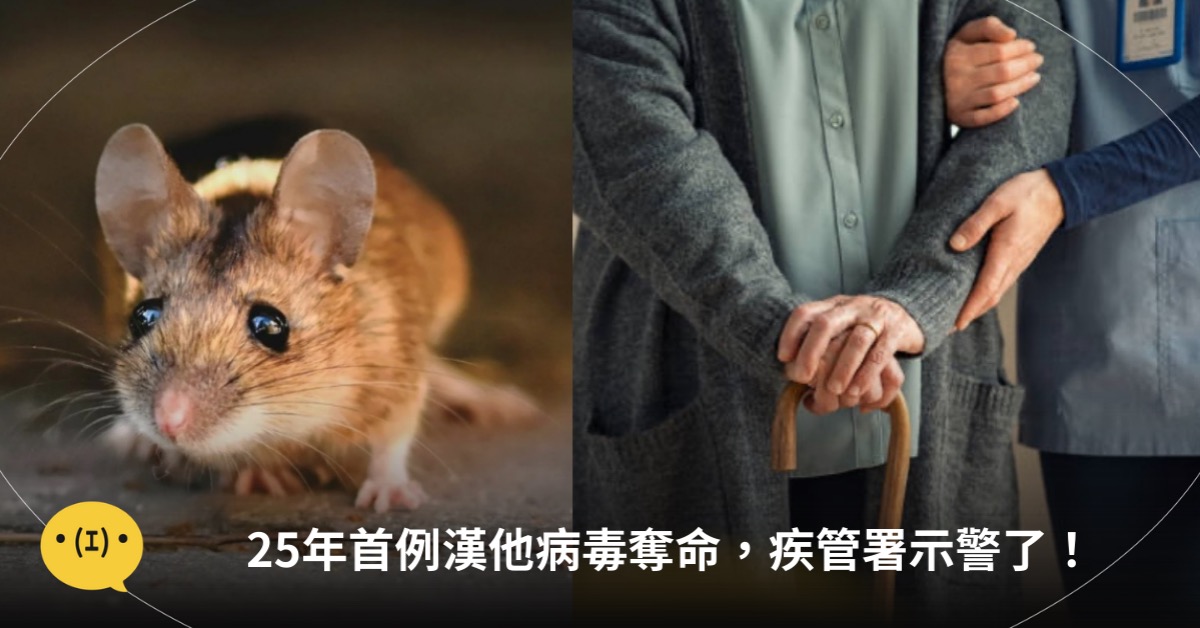 主圖來源：pexels