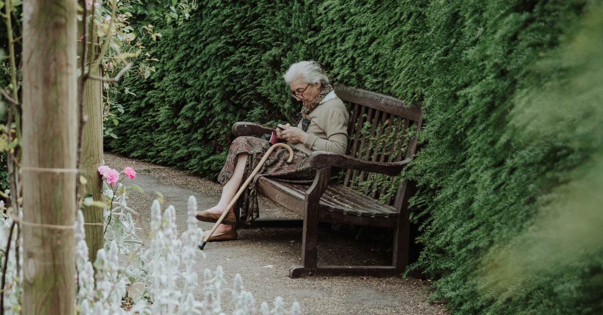 FotoJet - 2026-02-03T112824.483