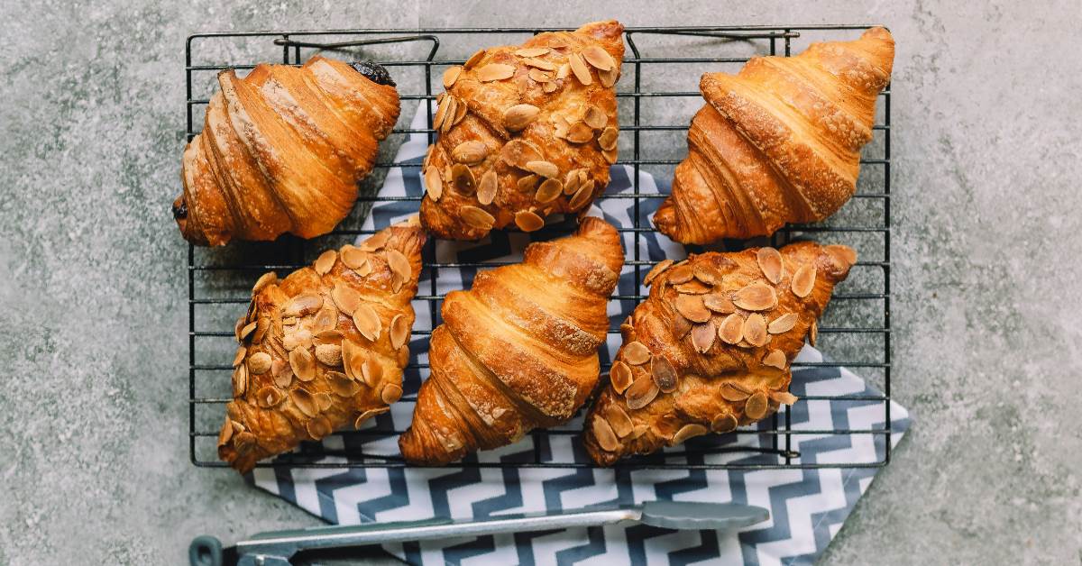 FotoJet - 2026-02-04T091830.456