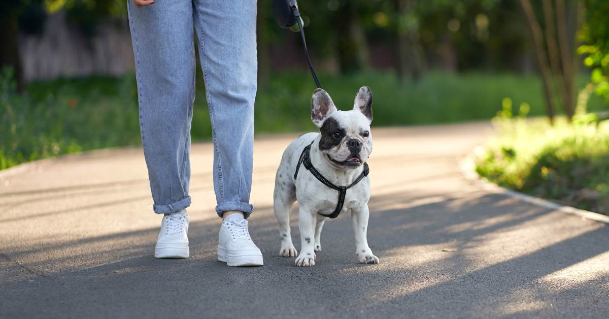 FotoJet - 2026-02-04T093255.610