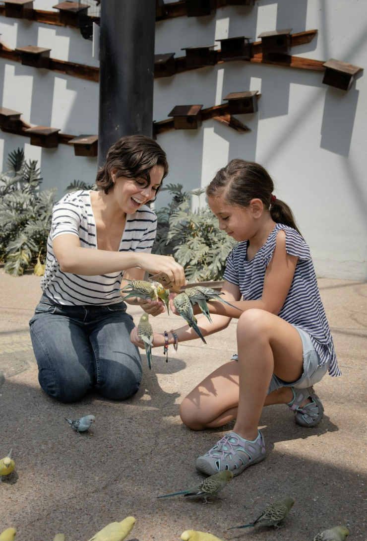 截圖 2026-02-05 下午5.19.24