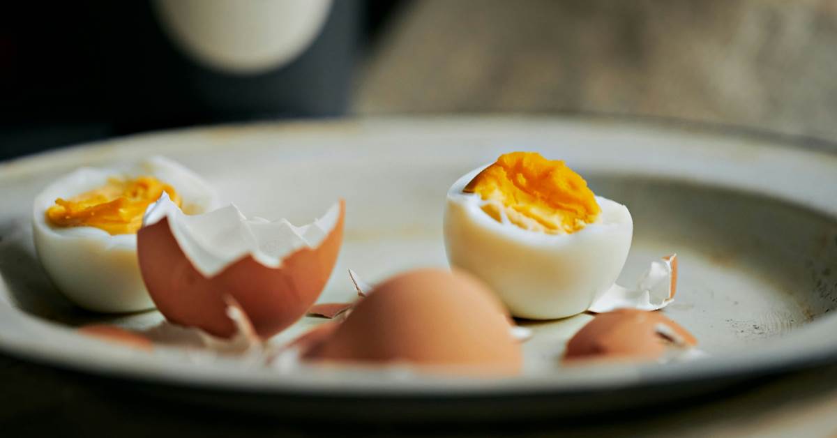 FotoJet - 2026-02-06T095030.741