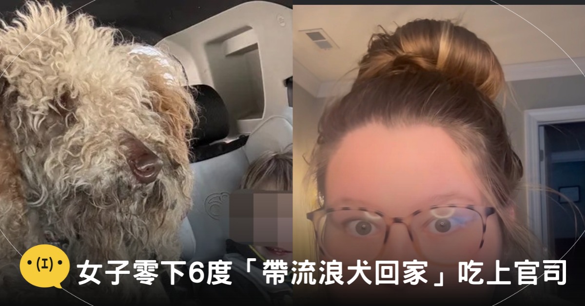 封面圖片來源：募款網站GoFundMe