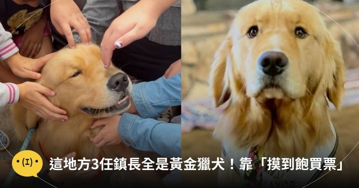 圖片來源:IG@mayormax1