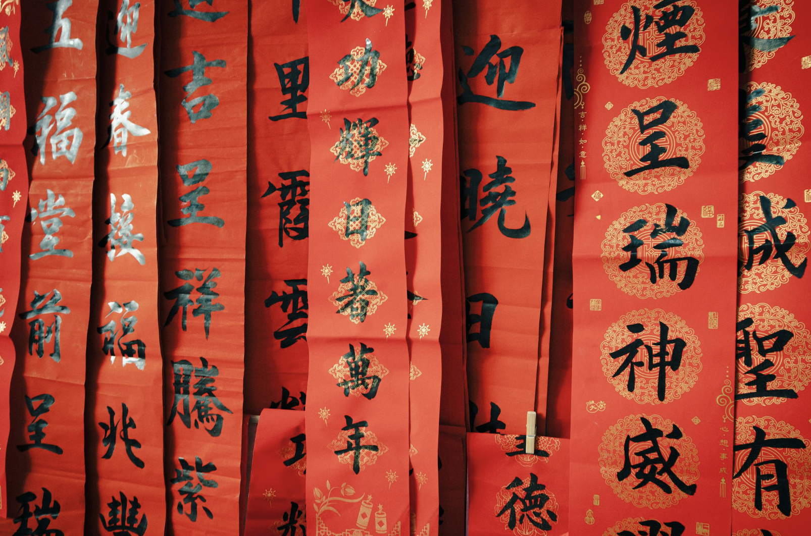 截圖 2026-02-15 下午6.34.08