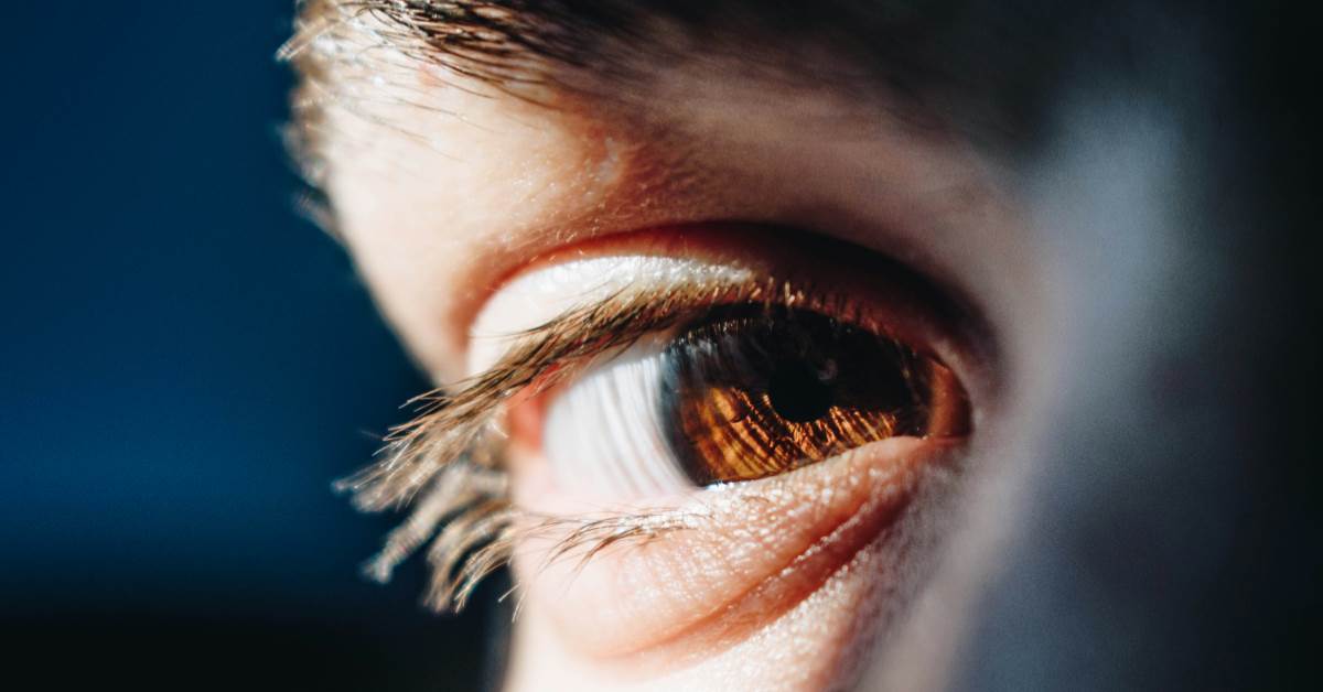 FotoJet - 2026-02-23T095518.159