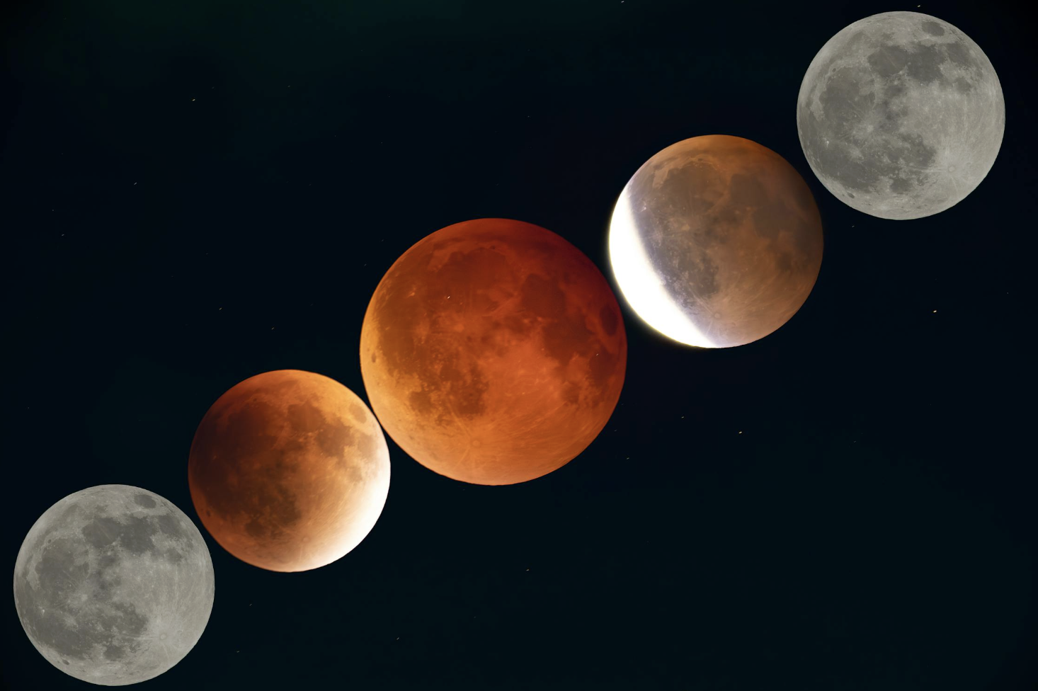 截圖 2026-02-24 下午5.49.32