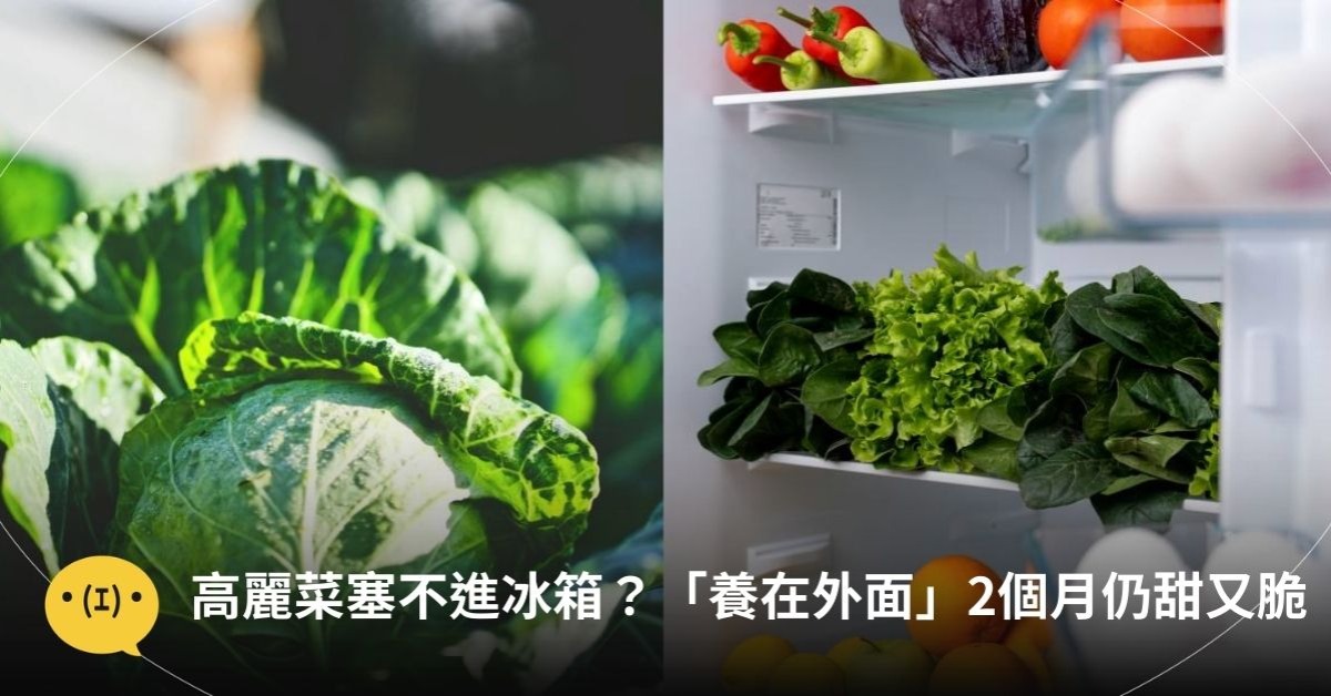 圖片來源：unsplash