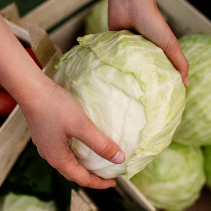 高麗菜不只可以「高麗菜煮蛋」！用途超多根本萬能廚具