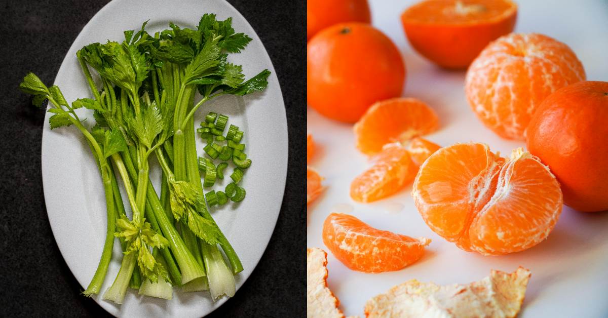 FotoJet - 2026-03-04T082113.632