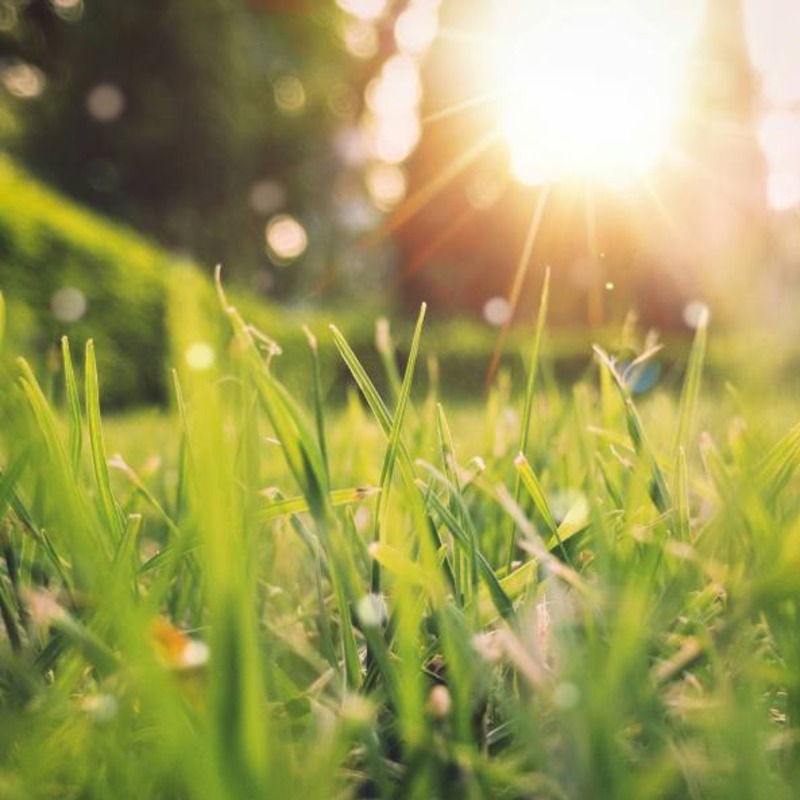 罕見天赦遇驚蟄！5星座、3生肖快接好運，財神追著送錢來