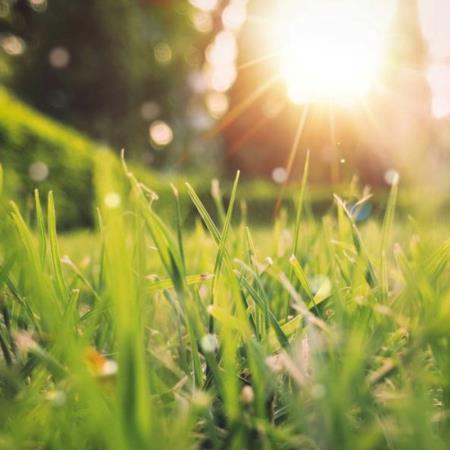 罕見天赦遇驚蟄！5星座、3生肖快接好運，財神追著送錢來