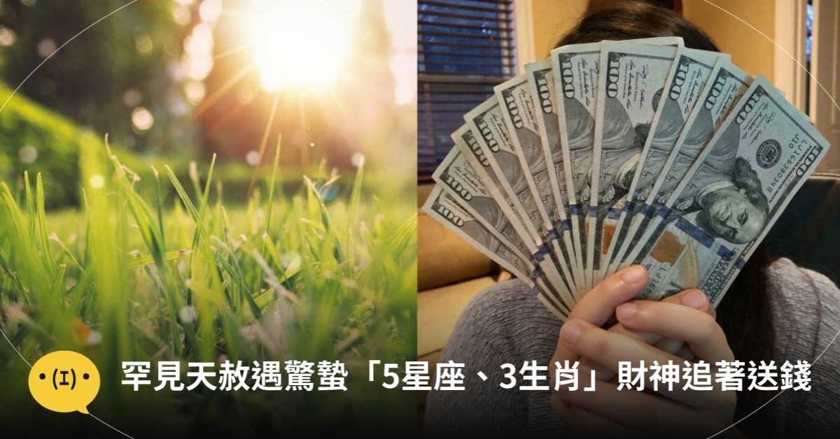 圖片來源：unsplash