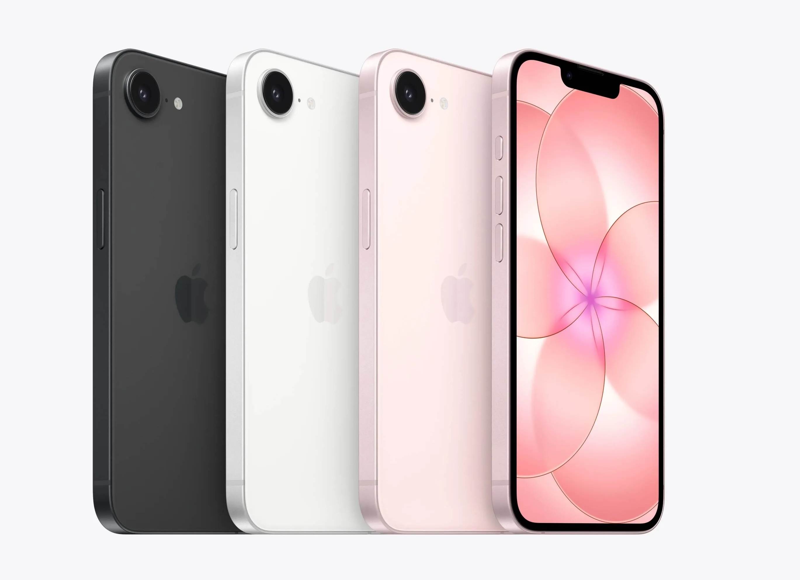 1772534077_40454副本