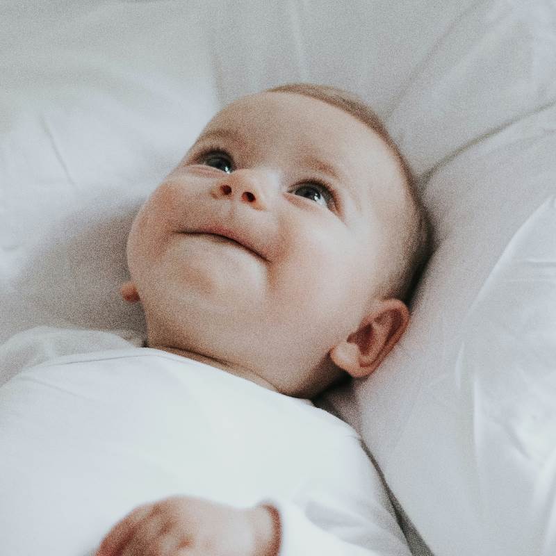 FotoJet - 2026-03-06T111455.381