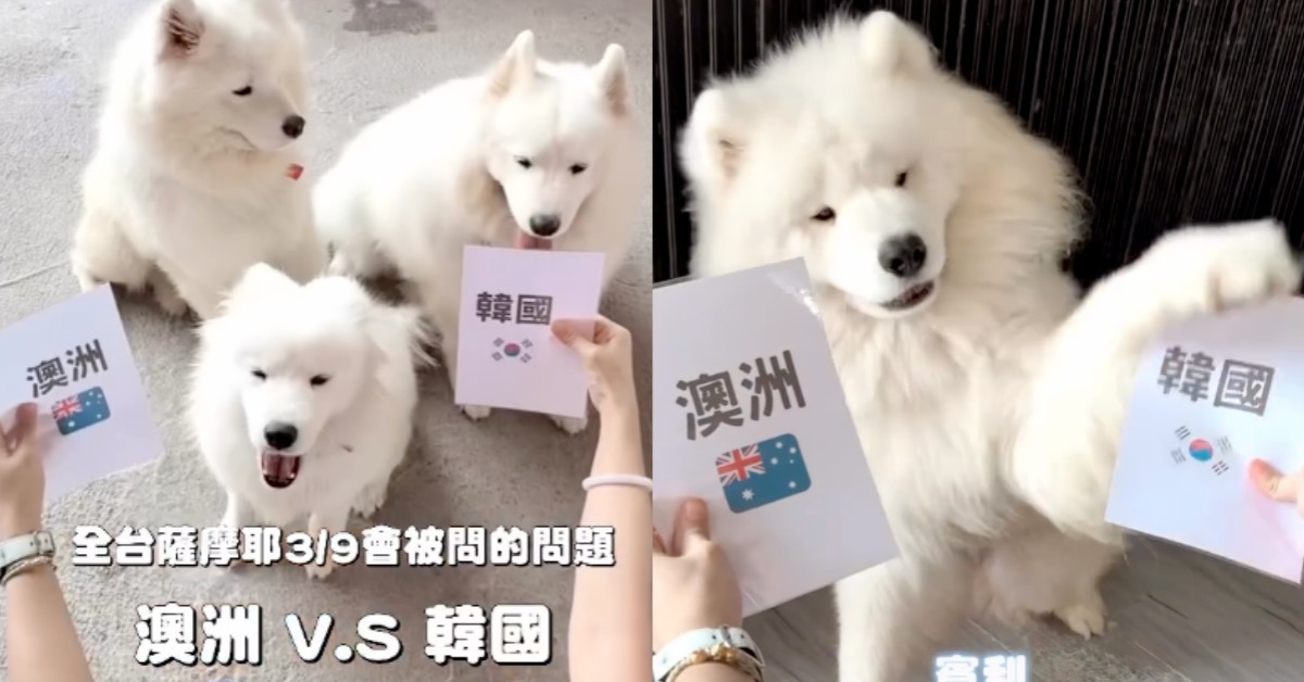 圖片來源：smiley._.clouds