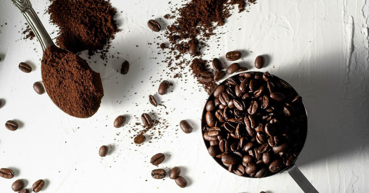 FotoJet - 2026-03-16T104550.105