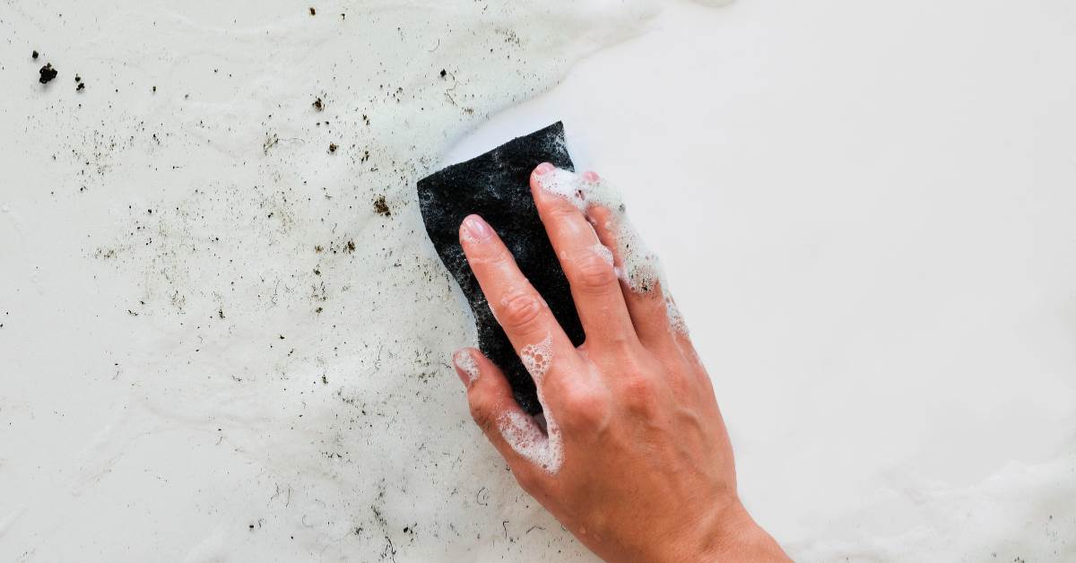 FotoJet - 2026-03-16T105244.120