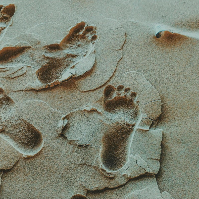 6天目擊7次「大腳怪」！母女近距離撞見2公尺巨影、嚇壞寵物犬